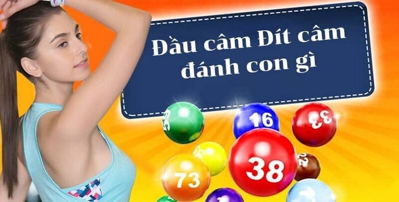 Đầu Đít Câm Đánh Lô Gì? Cách Chơi Lô Câm Luôn Thắng Tại Suncity