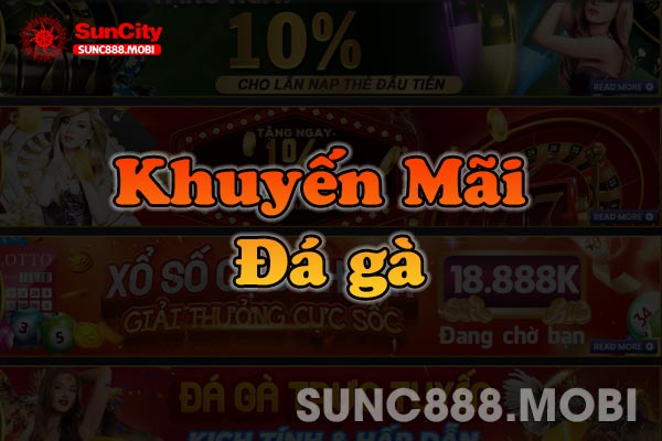 Khuyến Mãi Đá Gà Trực Tuyến Kịch Tính Và Hấp Dẫn Tại Suncity